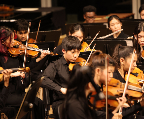 image for Concert Series