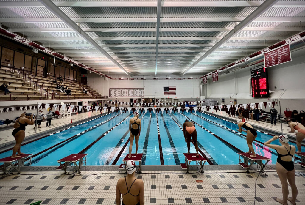 Swimmers stand on blocks ready to dive into the Nekton Pool