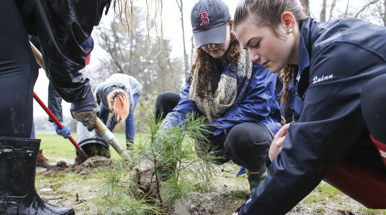 Exeter students Christina Quinn and Elizabeth Williams replanting a white pine seedling