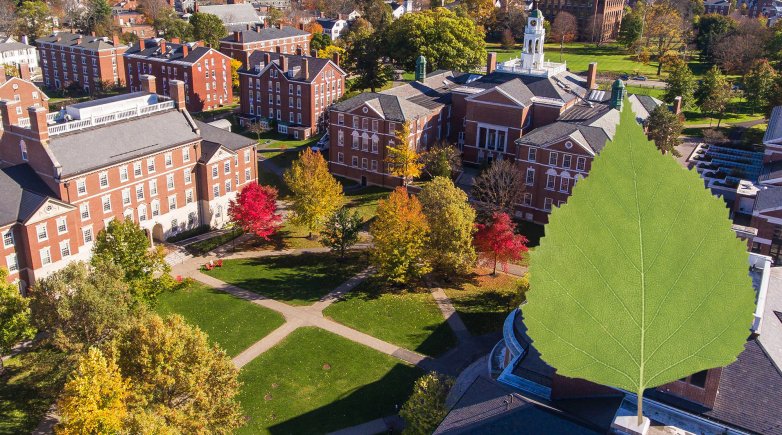 Exeter campus seen from above with green leaf superimposed