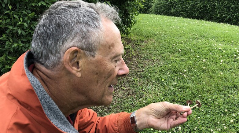 Maynard wheeler examines a mushroom