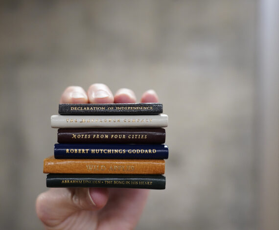 image for Light reading