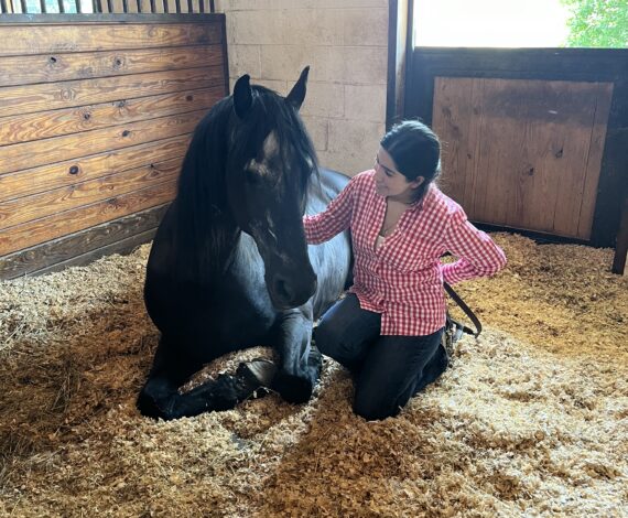 image for Five Questions With an Equine Vet in Training