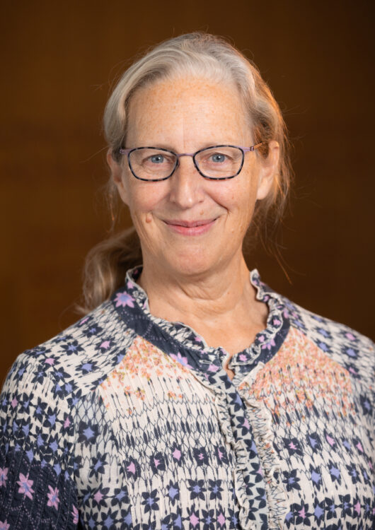 image for Dido E. Nydick