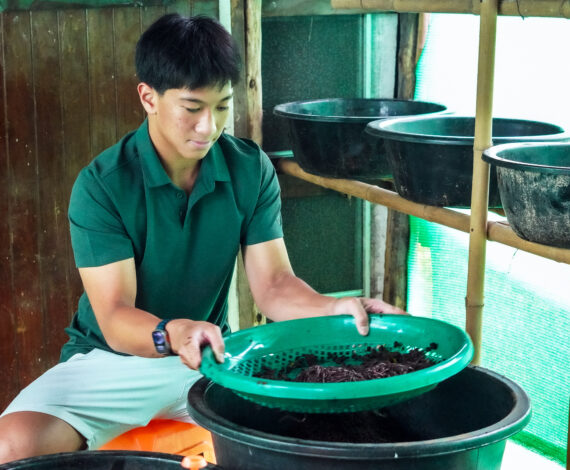 image for Sudsy Solution