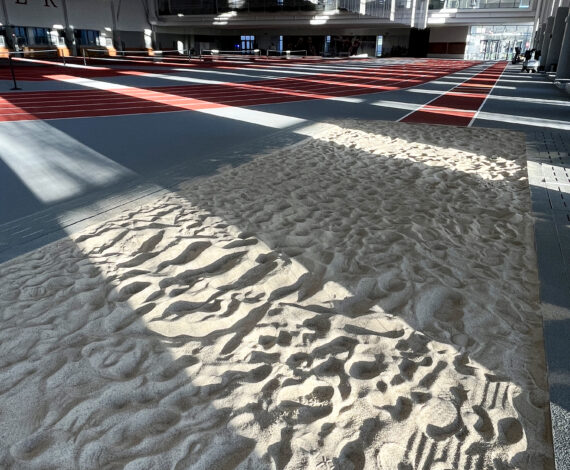 image for Field, House