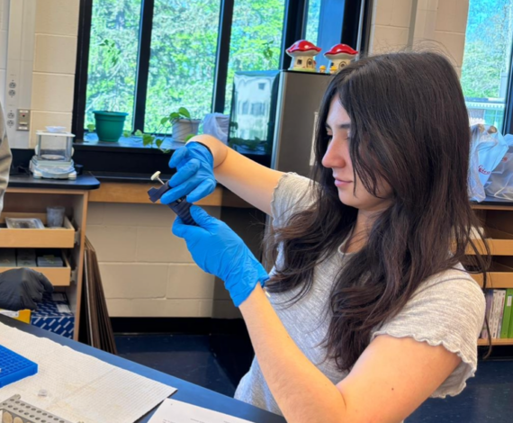 image for Exeter senior a Regeneron finalist