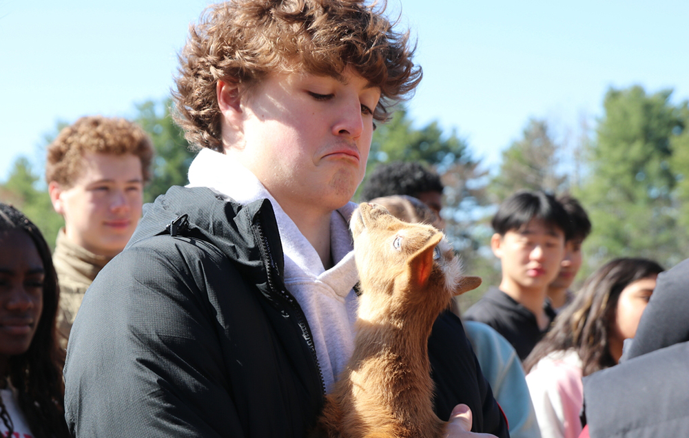 Image missing alt text