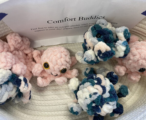 image for Plushie fairy spreads joy one surprise at a time