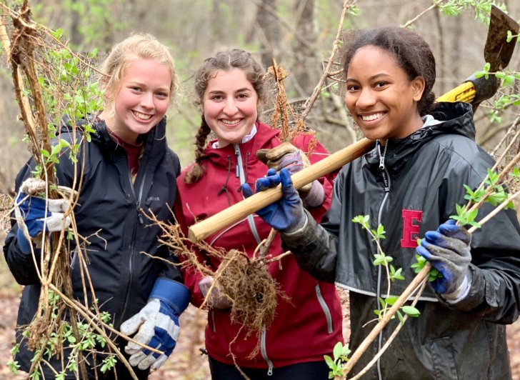 Weed removal during Exeter's 2019 Climate Action Day.