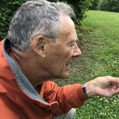 Maynard wheeler examines a mushroom