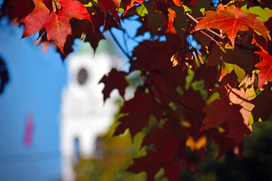 Academy Building bell tower seen through fall foliage. 