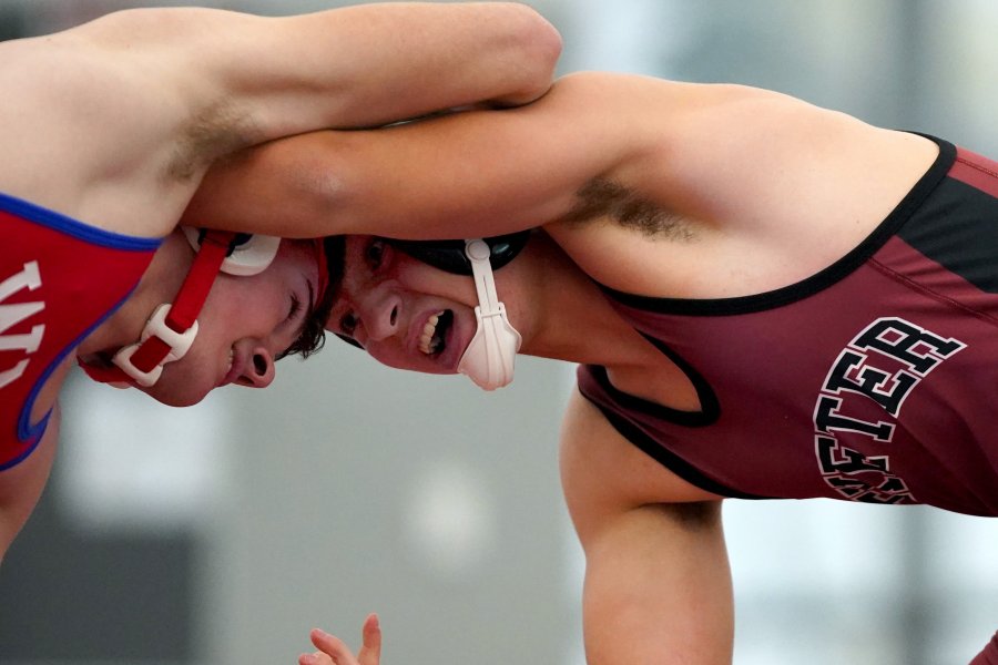 Two wrestlers